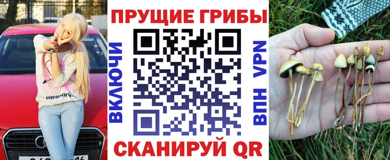 Псилоцибиновые грибы мицелий купить наркотик Шебекино